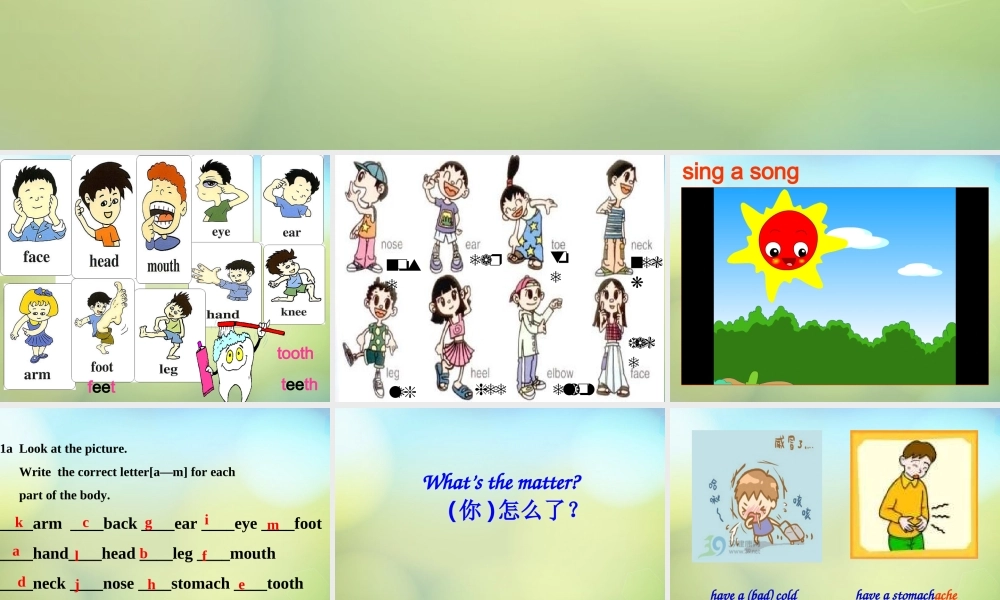 湖北省麻城市集美学校八年级英语下册 Unit 1 What's the matter课件 .ppt