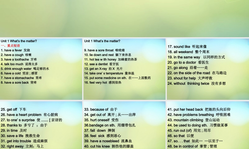 湖北省麻城市集美学校八年级英语下册 Unit 1 What's the matter词组课件 .ppt