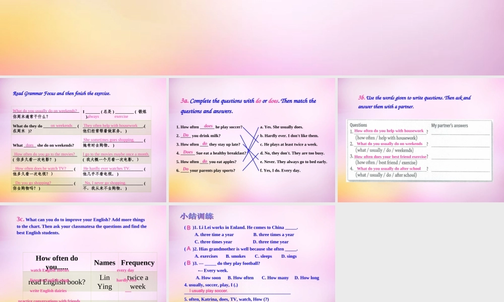 辽宁省东港市黑沟中学八年级英语上册 Unit 2 How often do you exercise Section A（Grammar Focus-3c）课件.ppt