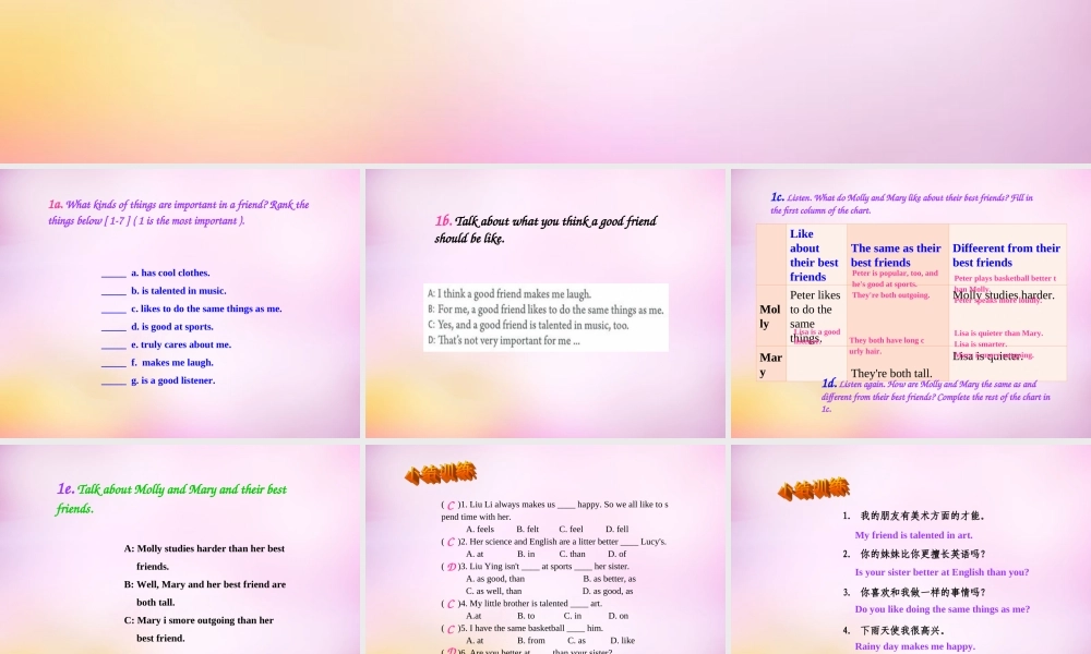 辽宁省东港市黑沟中学八年级英语上册 Unit 3 I'm more outgoing than my sister Section B（1a-1e）课件.ppt