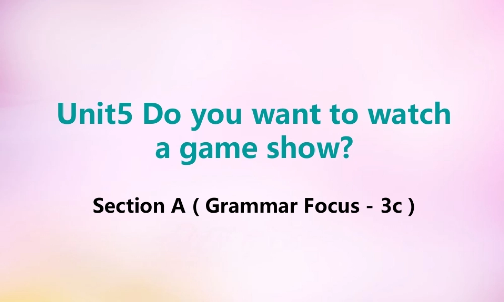 辽宁省东港市黑沟中学八年级英语上册 Unit 5 Do you want to watch a game show section A（grammar focus-3c）课件.ppt