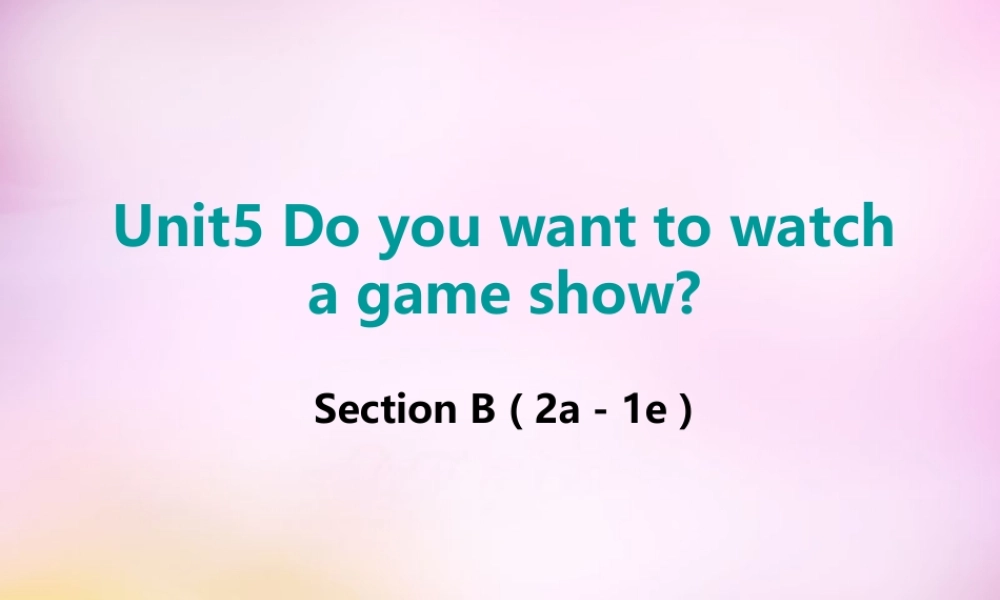 辽宁省东港市黑沟中学八年级英语上册 Unit 5 Do you want to watch a game show section B（2a-2e）课件.ppt