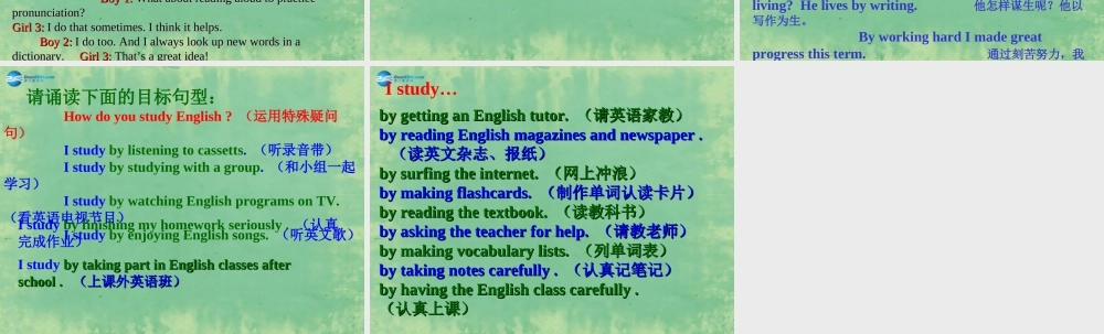辽宁省灯塔市第二初级中学九年级英语全册 Unit 1 How can we become good learners？（第3课时）课件 （新版）人教新目标版.ppt