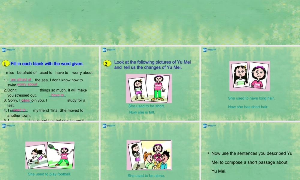 辽宁省灯塔市第二初级中学九年级英语全册 Unit 4 I used to be afraid of the dark（第3课时）课件.ppt