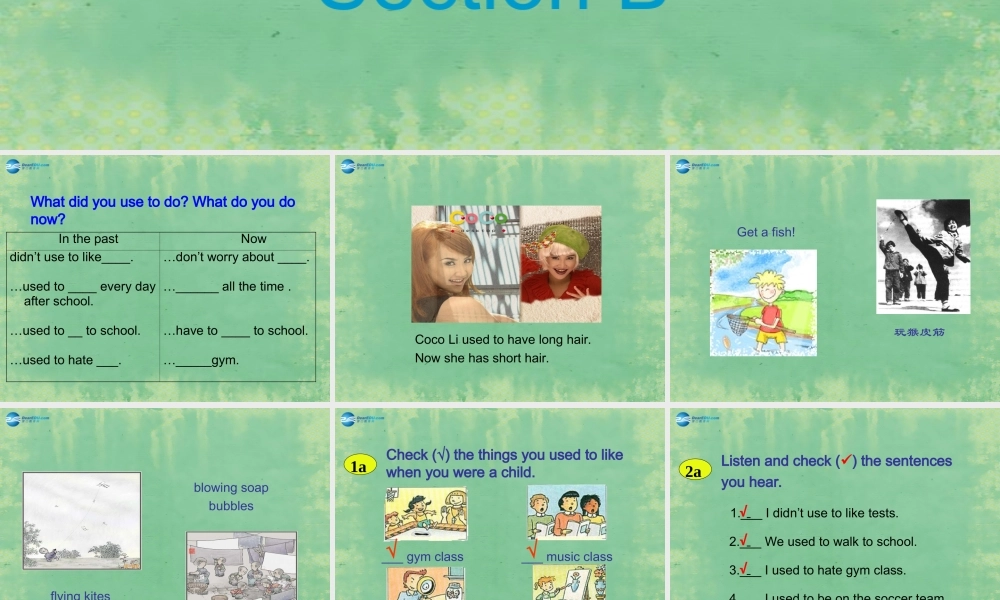 辽宁省灯塔市第二初级中学九年级英语全册 Unit 4 I used to be afraid of the dark（第2课时）课件.ppt