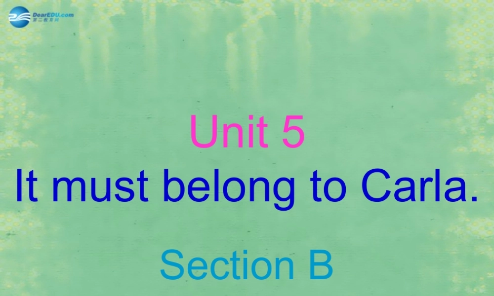 辽宁省灯塔市第二初级中学九年级英语全册 Unit 5 What are the shirts made of？（第2课时）课件.ppt