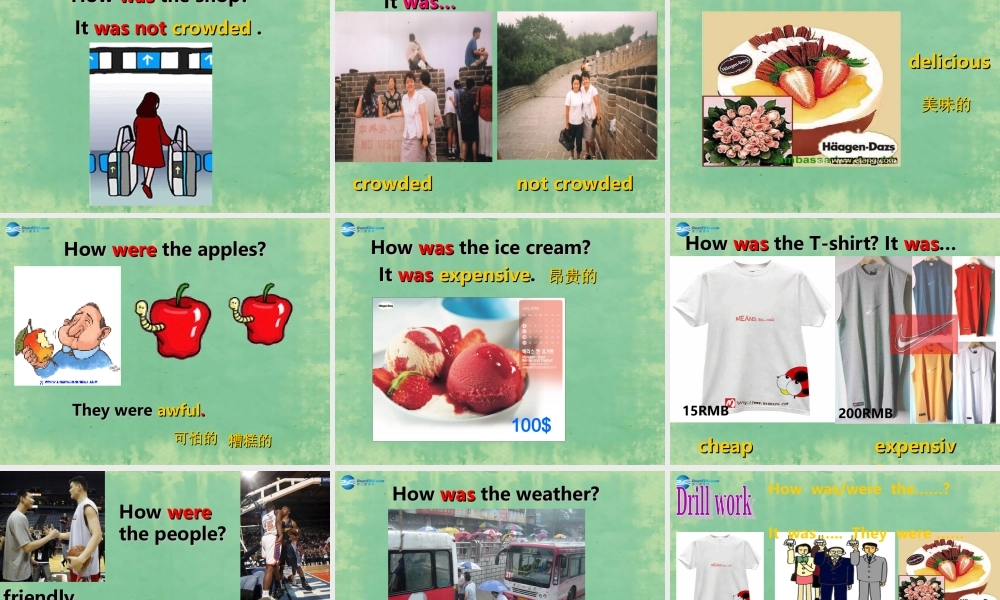 辽宁省灯塔市第二初级中学八年级英语上册 Unit 1 Where did you go on vacation？（第2课时）课件.ppt