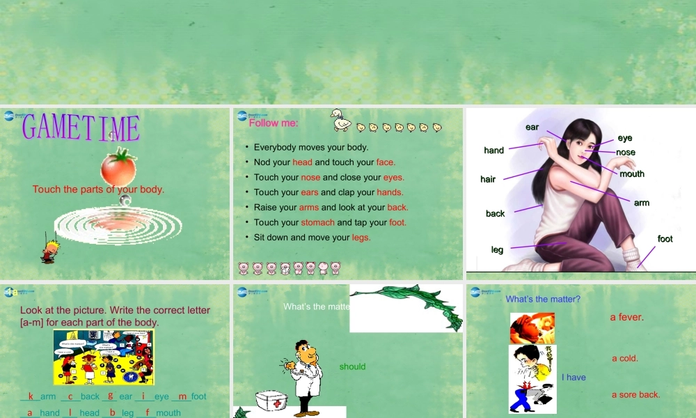 辽宁省灯塔市第二初级中学八年级英语上册 Unit 2 How often do you exercise？Section A2课件.ppt