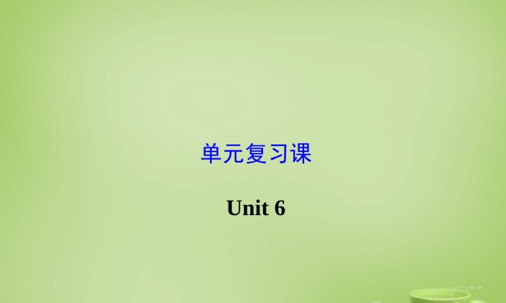 陕西省石泉县池河中学九年级英语全册 Unit 6 When was it invented复习课件.ppt