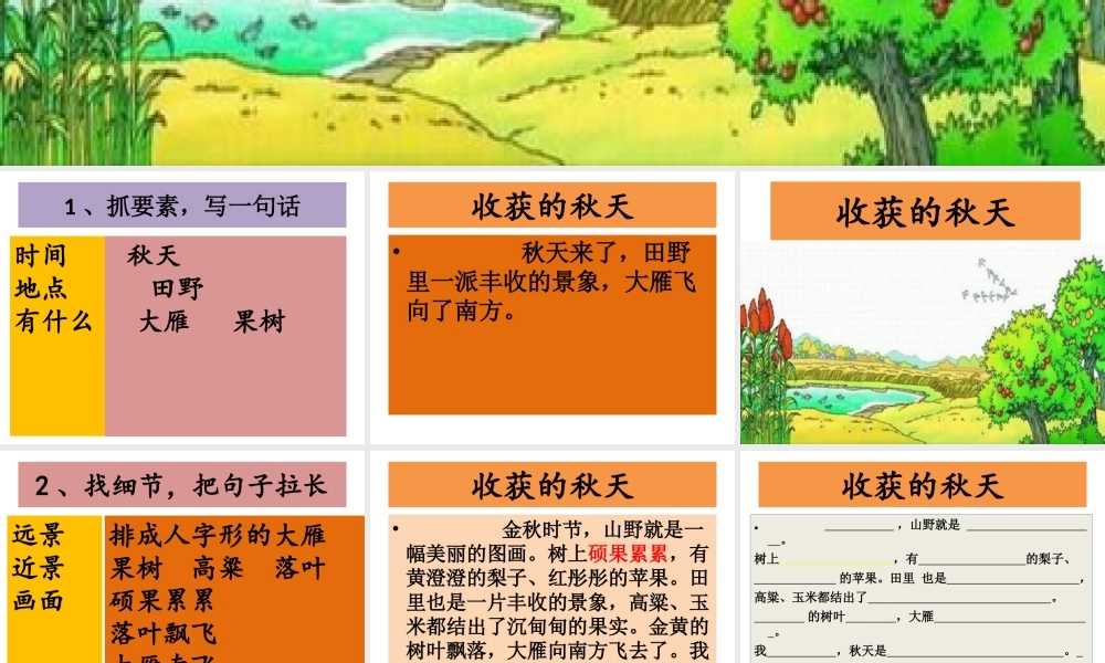 07、《收获的秋天》.ppt
