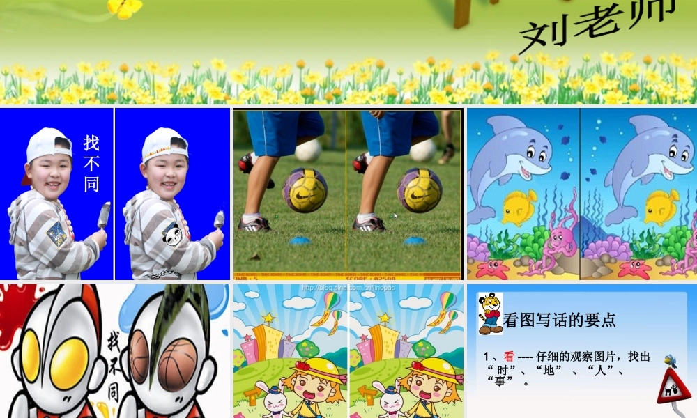 09、《爱护小鸟》.ppt