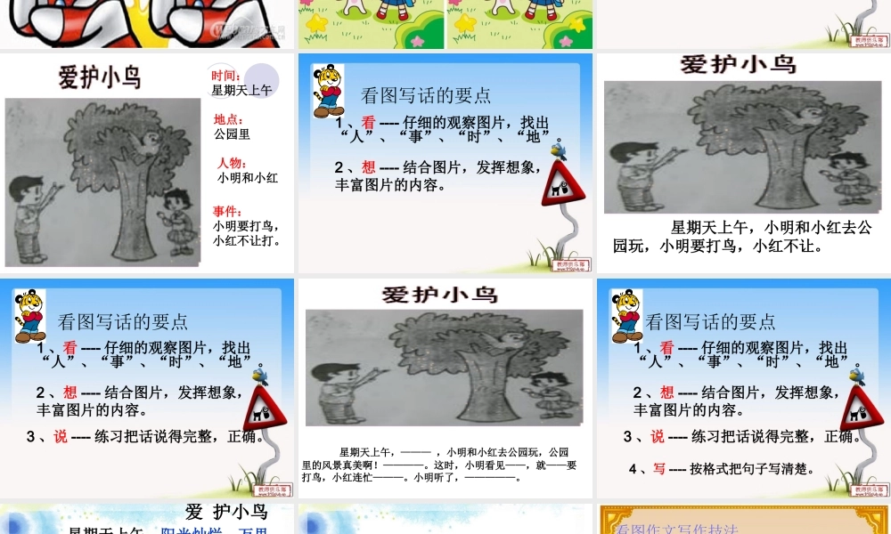 09、《爱护小鸟》.ppt