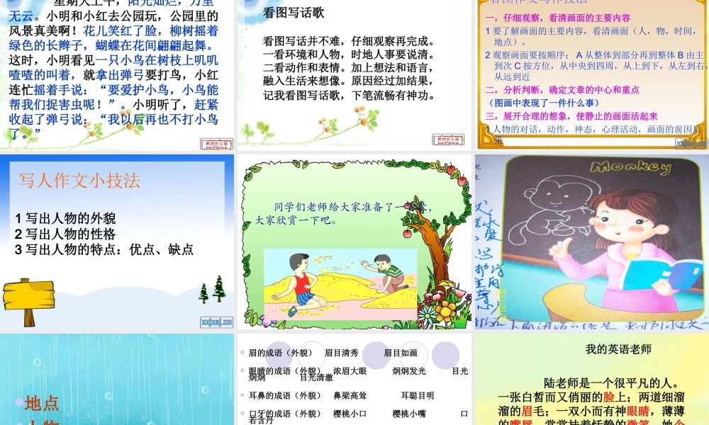 09、《爱护小鸟》.ppt