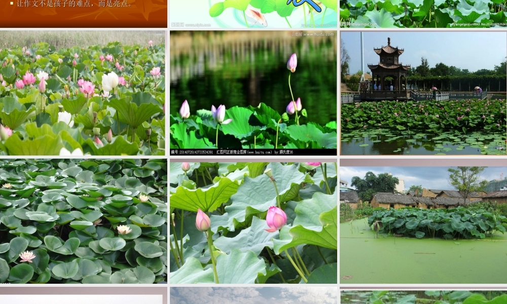 09、《夏日荷塘》.ppt