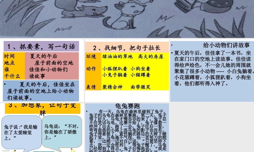 13、《给小动物们讲故事》.ppt