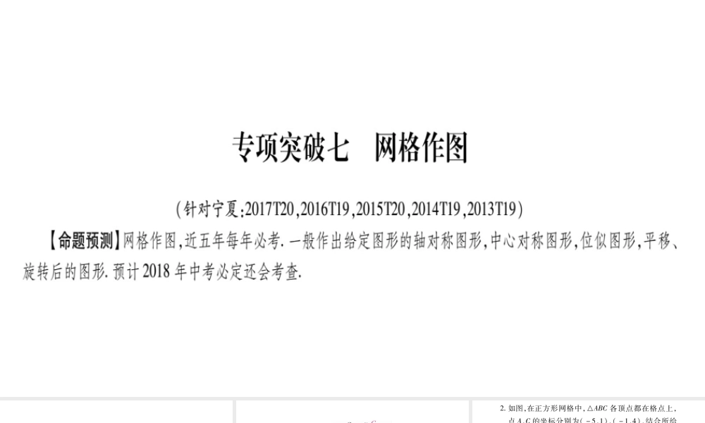 2018宁夏中考数学复习课件：专项突破7 (共17张PPT).pptx