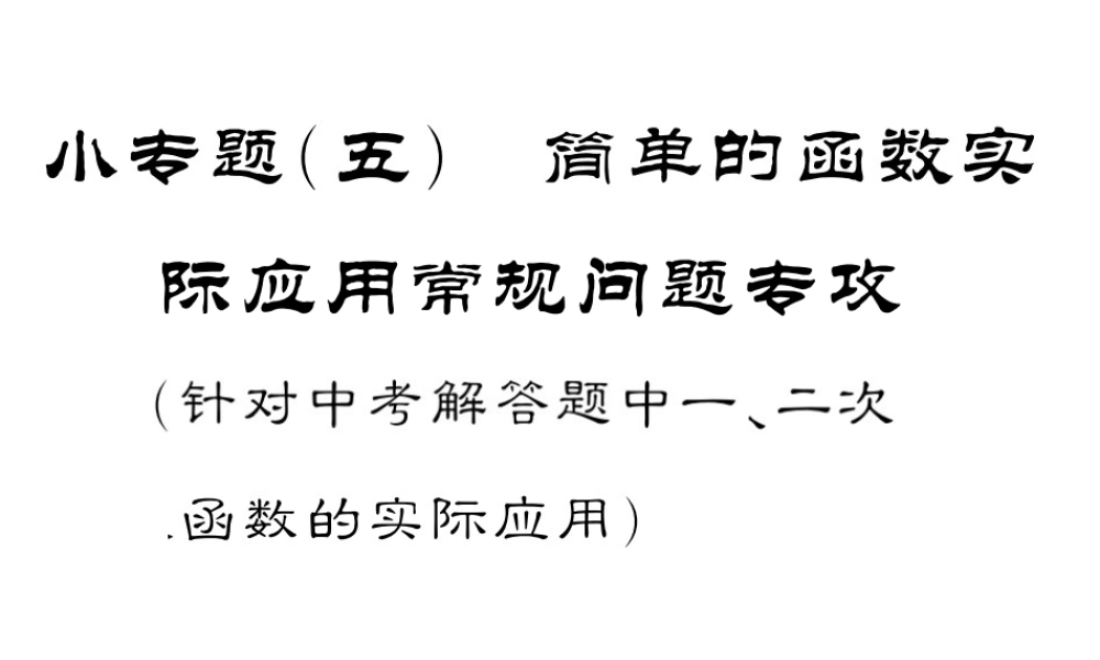 2018年中考数学（人教版）总复习课件：小专题5 (共46张PPT).ppt