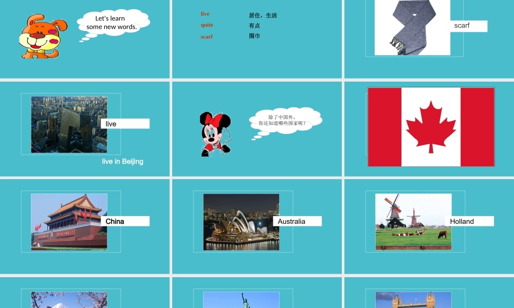 Unit 1 Visiting Canada Lesson 1 课件1.ppt