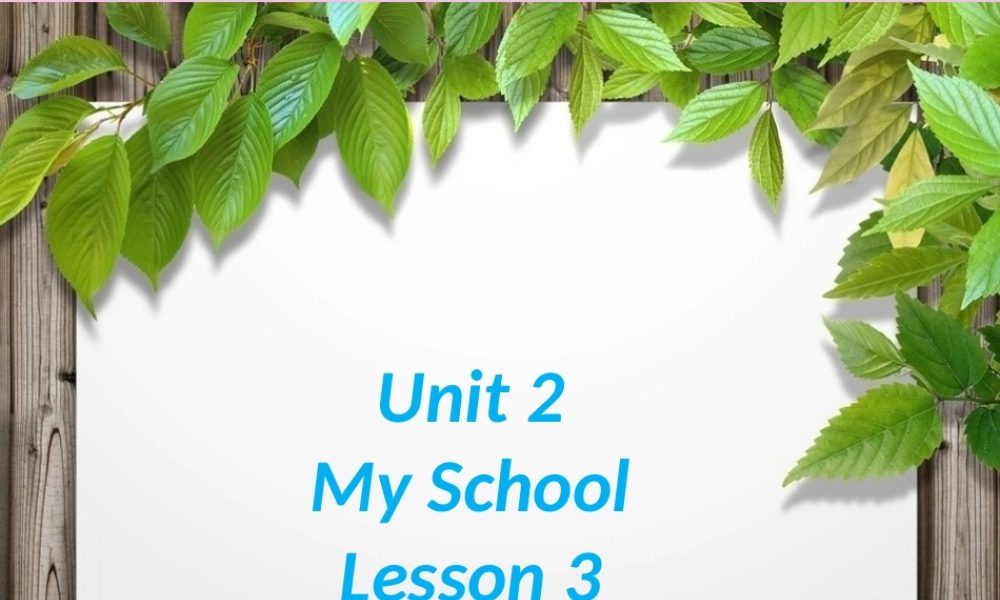 Unit 2 My School Lesson 3 课件 2.ppt