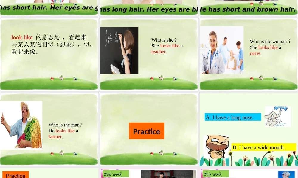 Unit 4 My Family Lesson 3 课件 1.ppt