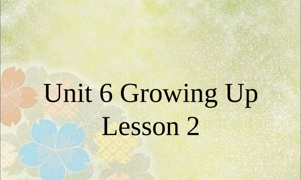 Unit 6 Growing Up Lesson 2 课件 3.ppt