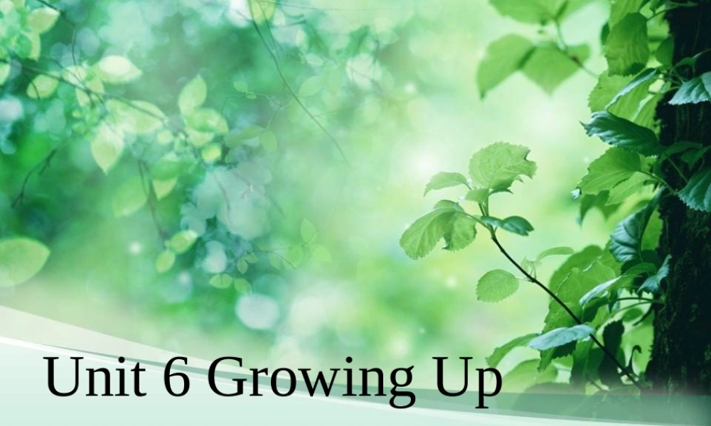 Unit 6 Growing Up Lesson 3 课件 2.ppt