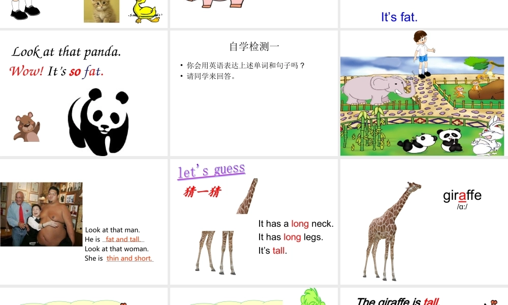 三年级下英语课件-Unit 3 Atthe zoo-人教新起点.ppt