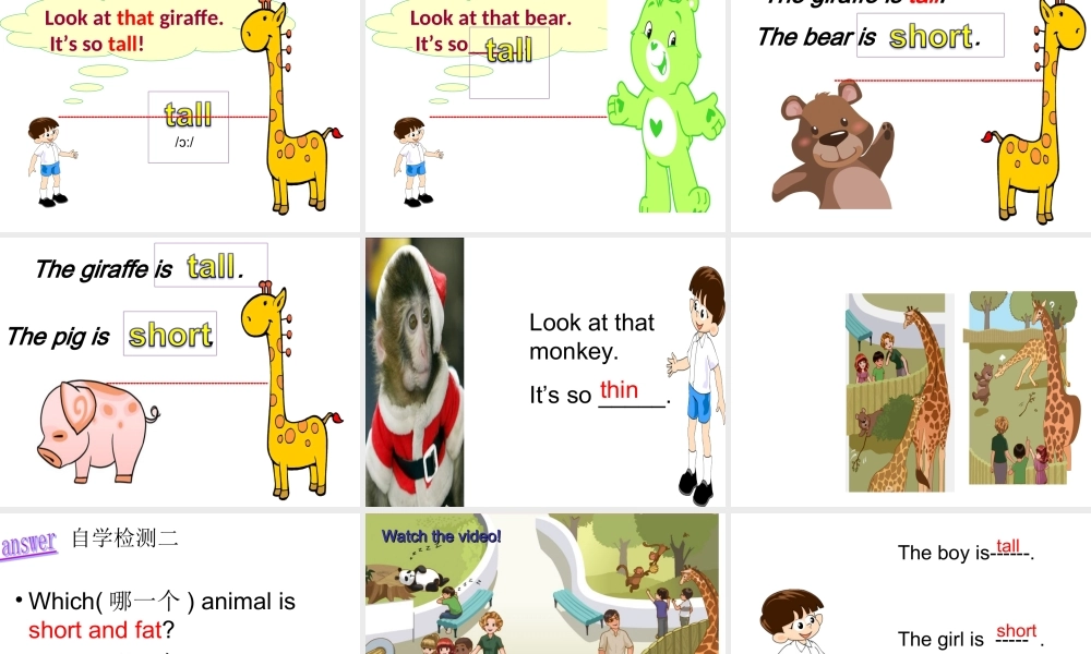 三年级下英语课件-Unit 3 Atthe zoo-人教新起点.ppt