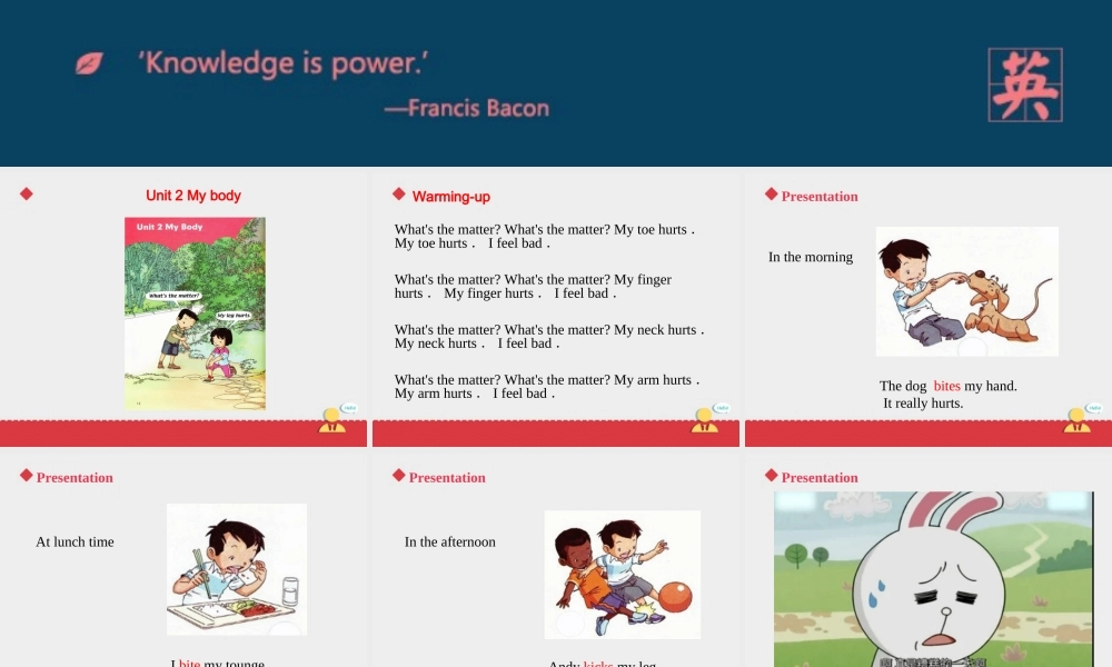 人教新起点三年级上册Unit2 课件 第3课时.ppt