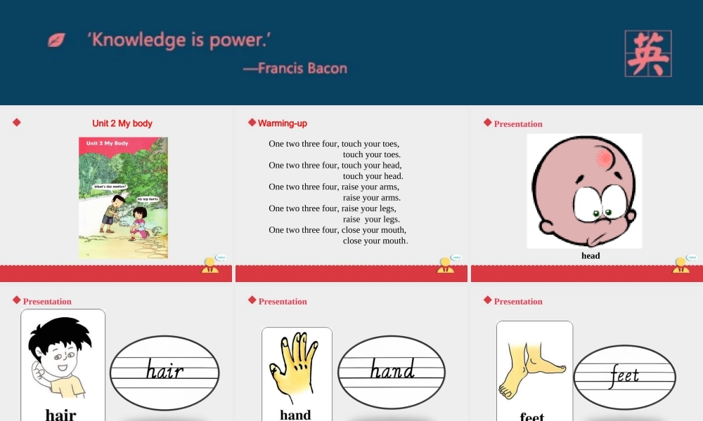 人教新起点三年级上册Unit2 课件 第1课时.ppt