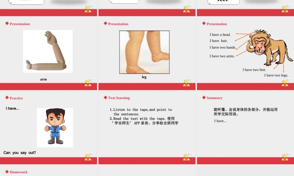 人教新起点三年级上册Unit2 课件 第1课时.ppt