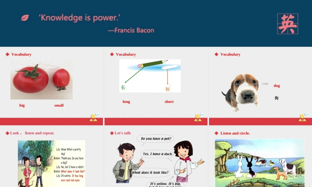 人教新起点三年级上册Unit4 课件 第2课时.ppt