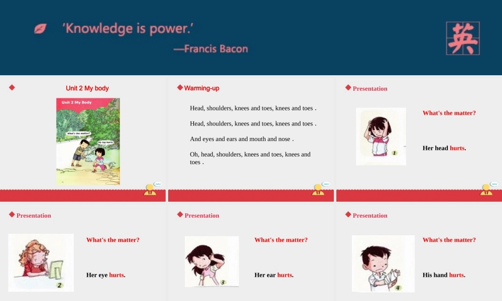 人教新起点三年级上册Unit2 课件 第2课时.ppt