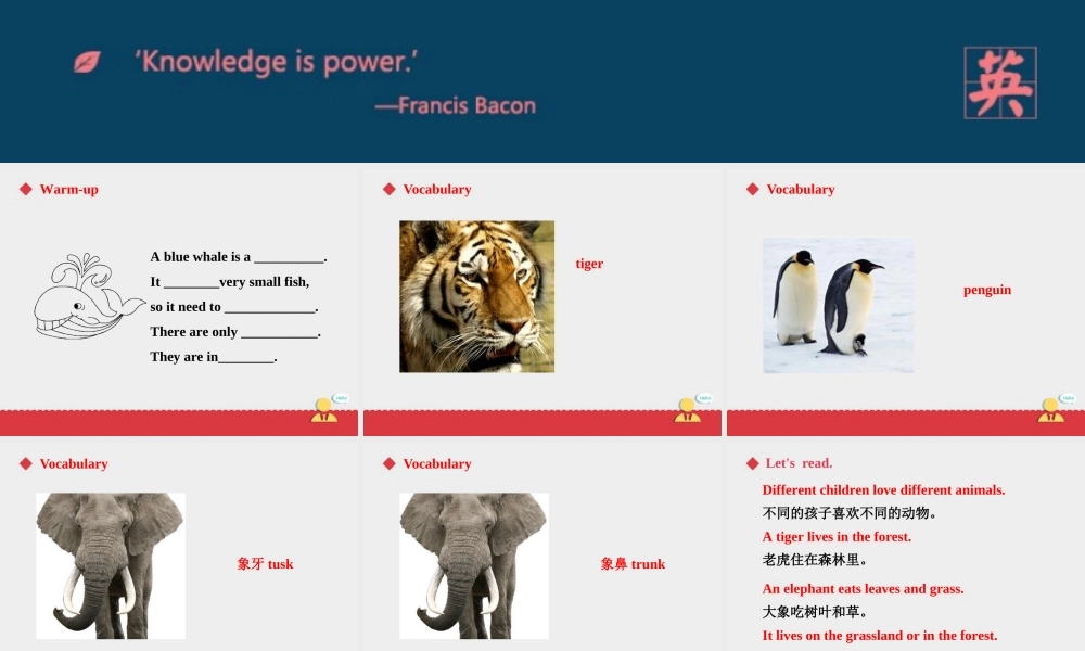 人教新起点五年级上册Unit3 课件 第3课时.ppt