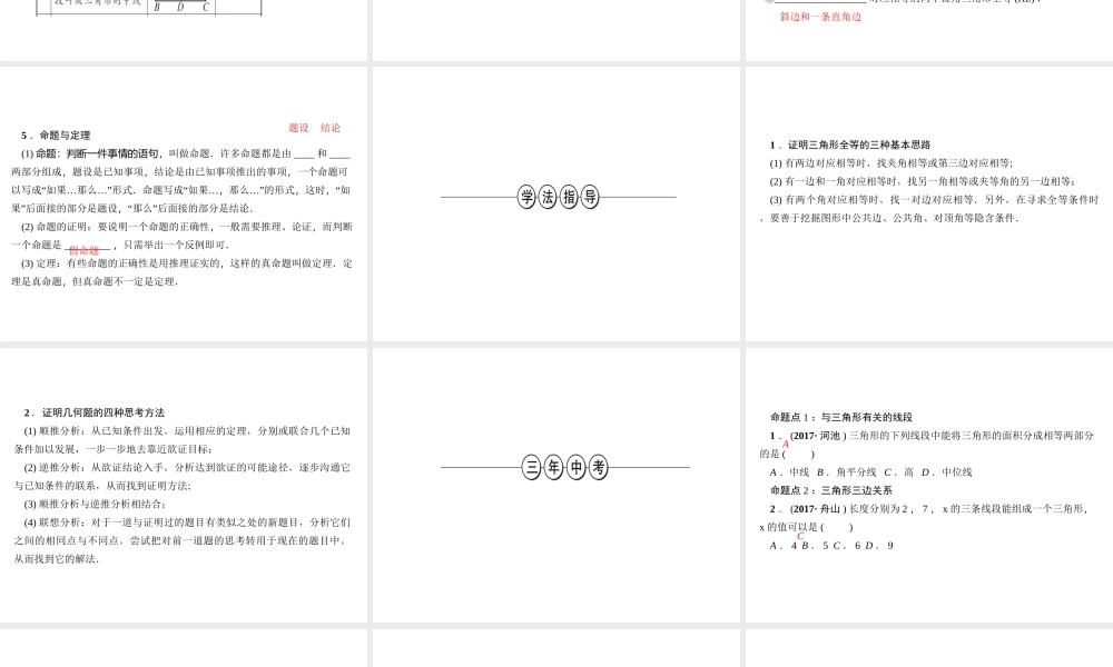 第18讲　三角形与全等三角形.ppt