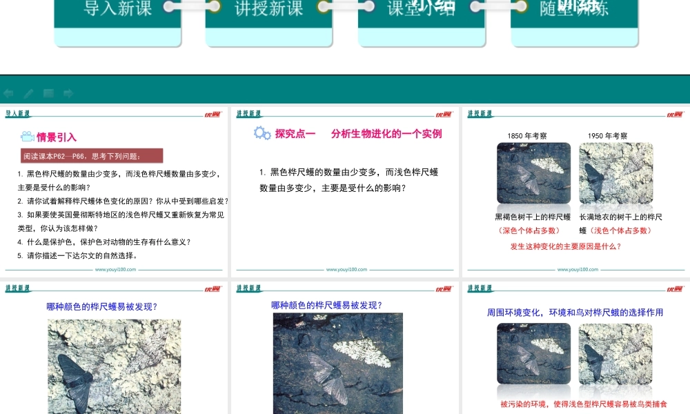 第三节生物进化的原因(1).ppt