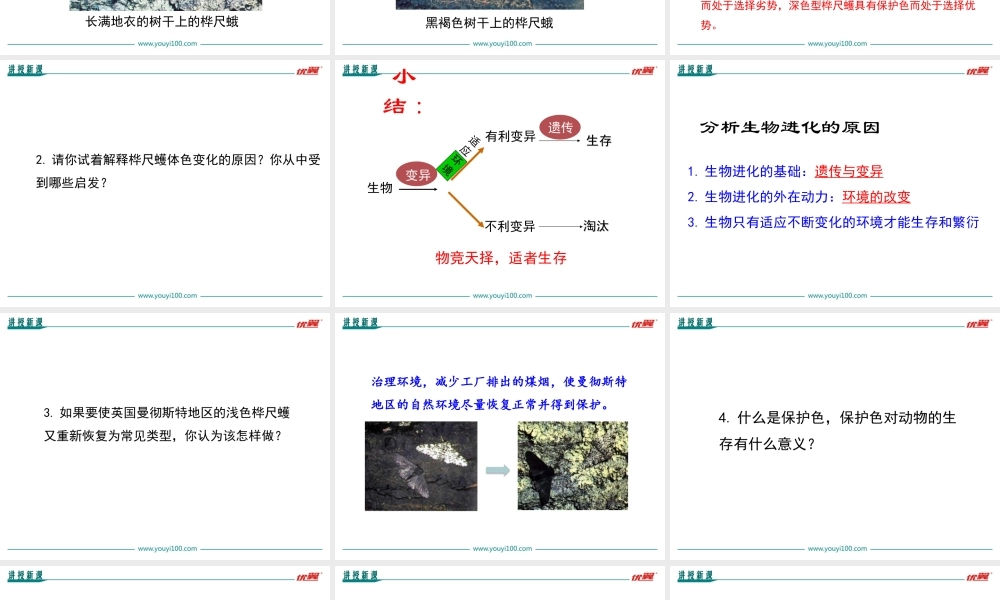 第三节生物进化的原因(1).ppt