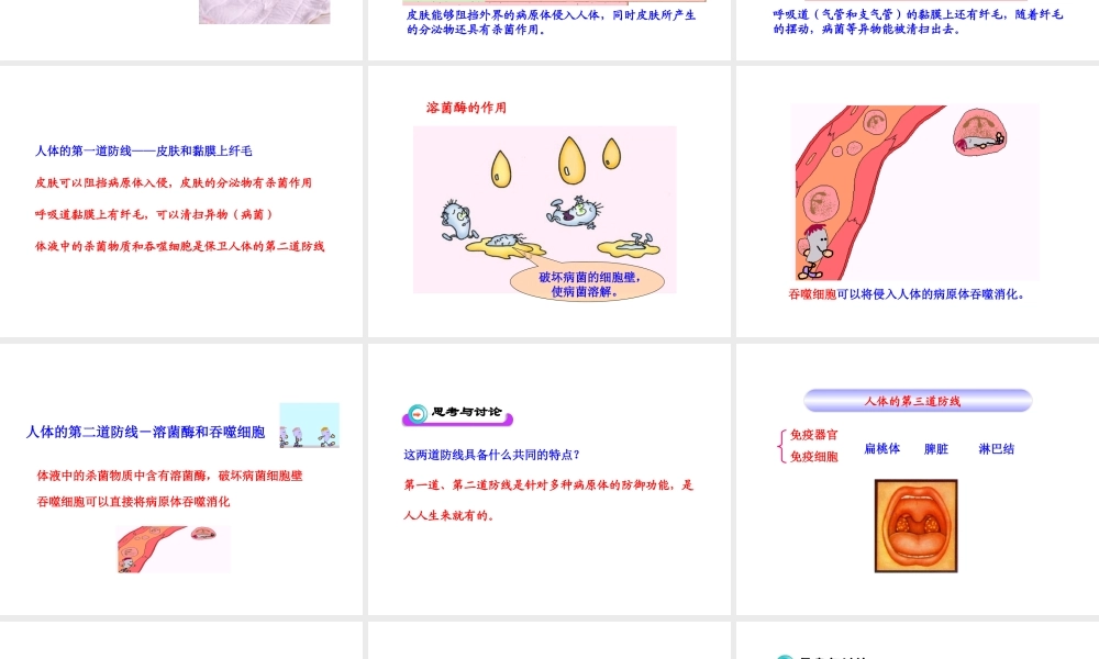 第八单元第一章第二节免疫与计划免疫（人教版八年级下）(1).ppt