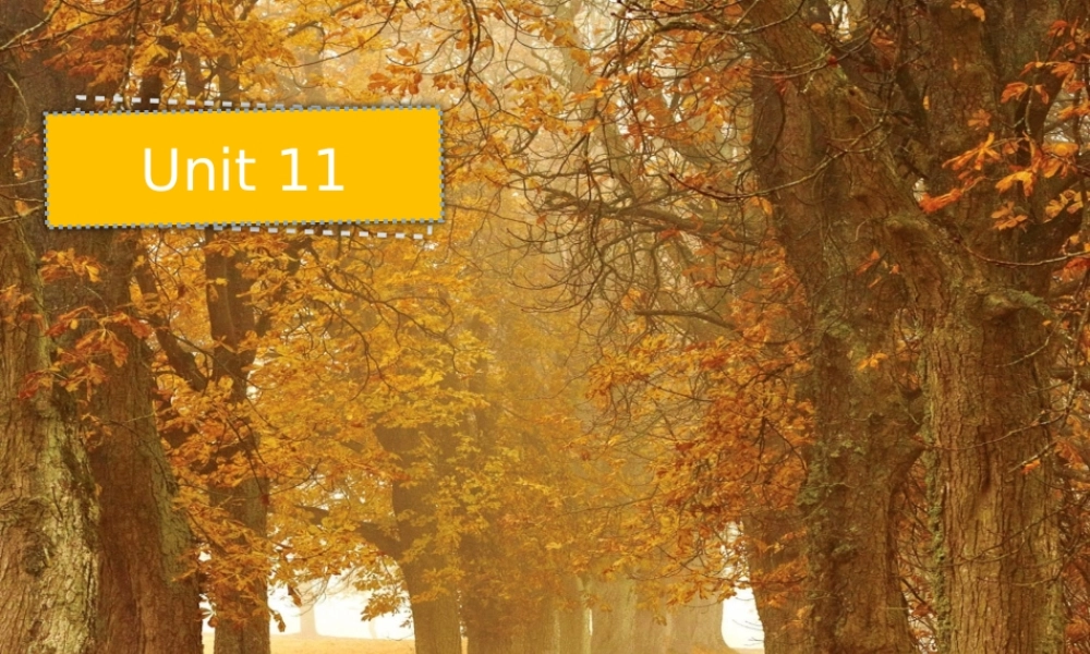 【2020秋】【高二985班Unit11】知识清单.pptx