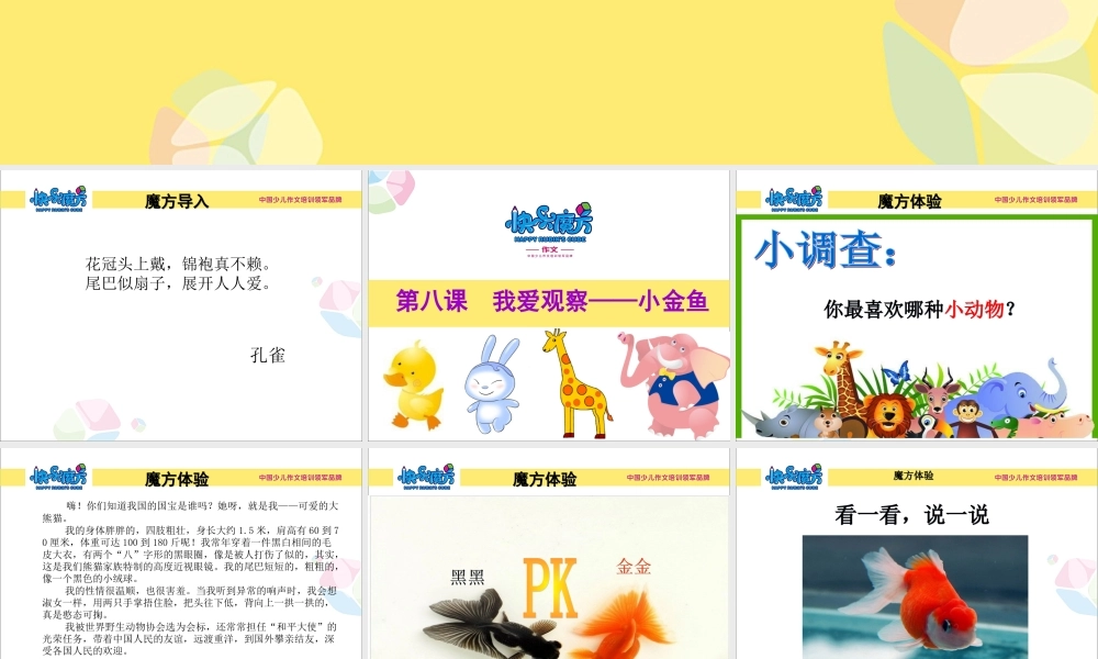 暑假启蒙篇第6课 迷人动漫.ppt