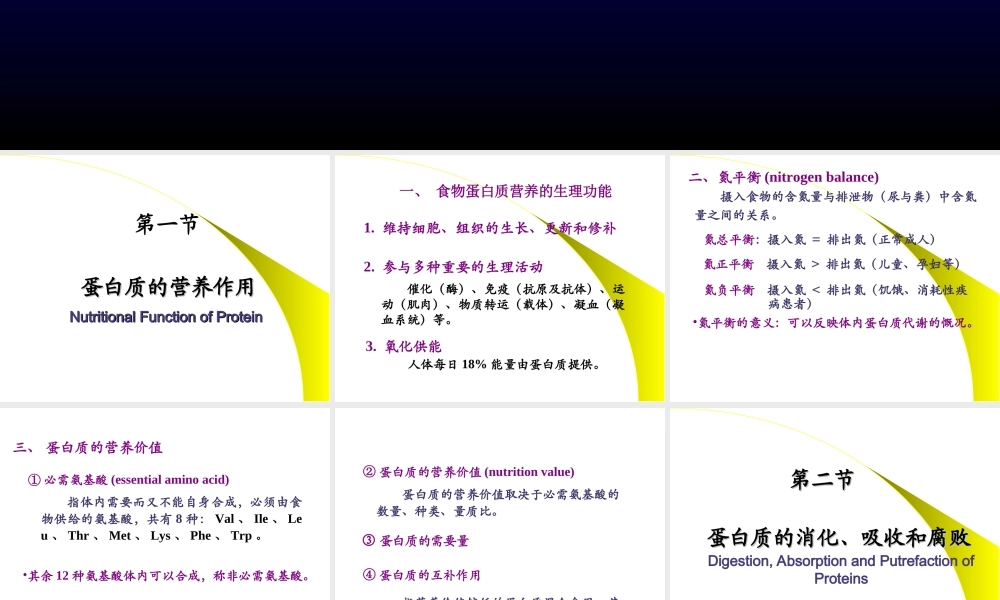 11氨基酸代谢.ppt