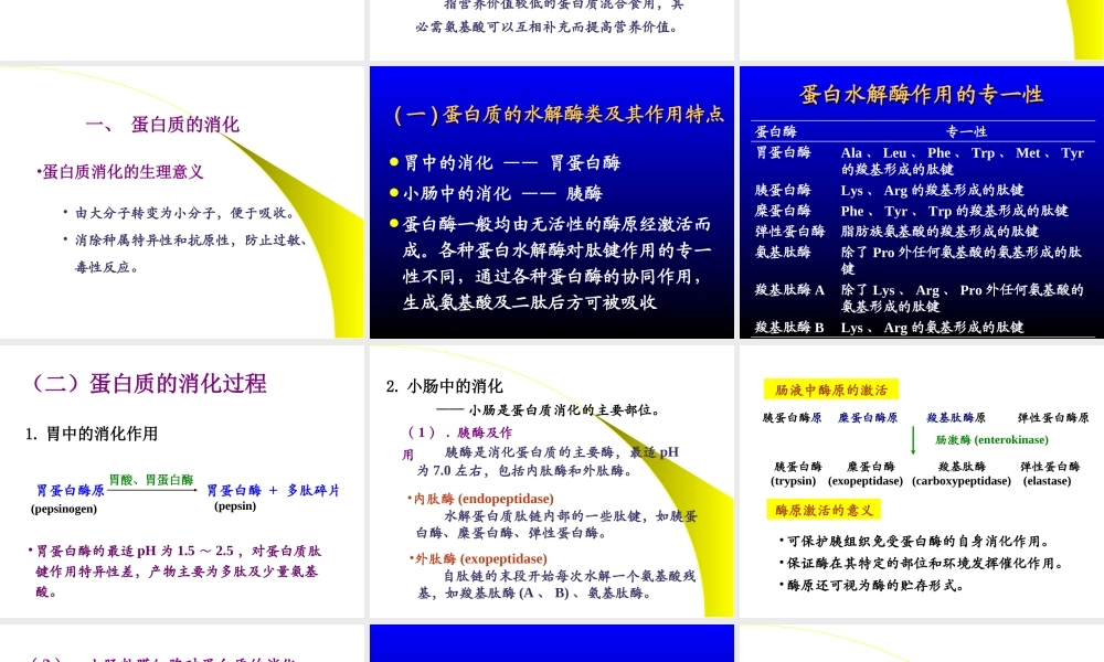 11氨基酸代谢.ppt