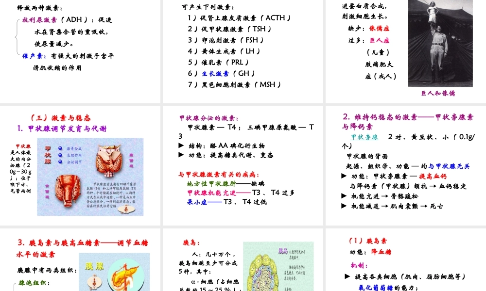 12 内分泌系统与化学调节——体液调节.ppt