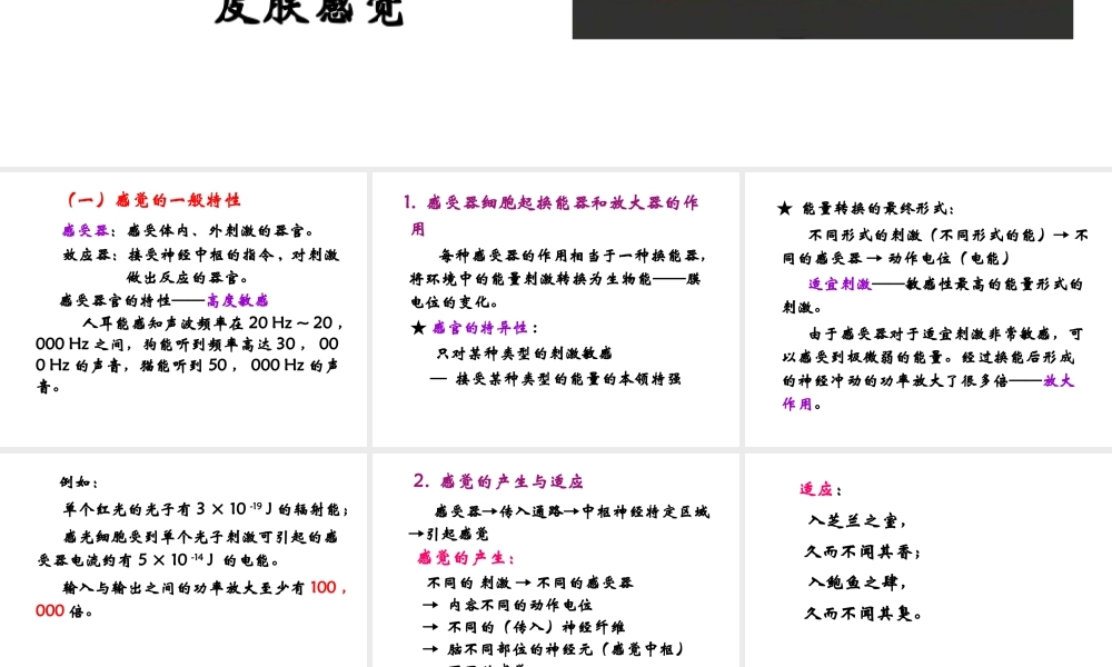 14 感觉器官与感觉.ppt