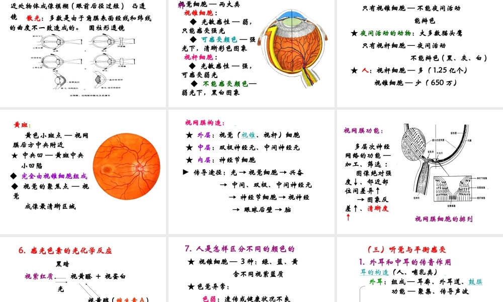 14 感觉器官与感觉.ppt