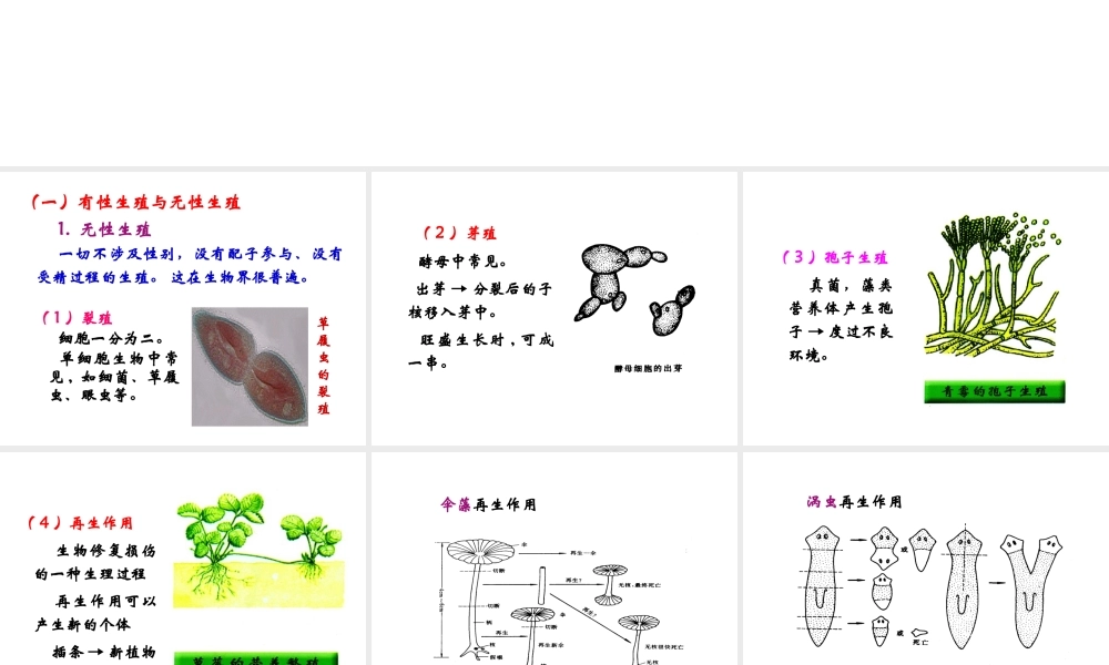 16 生殖与胚胎发育.ppt