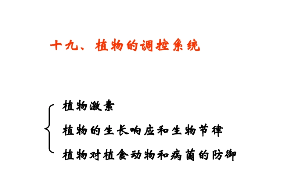 19 植物的调控系统.ppt