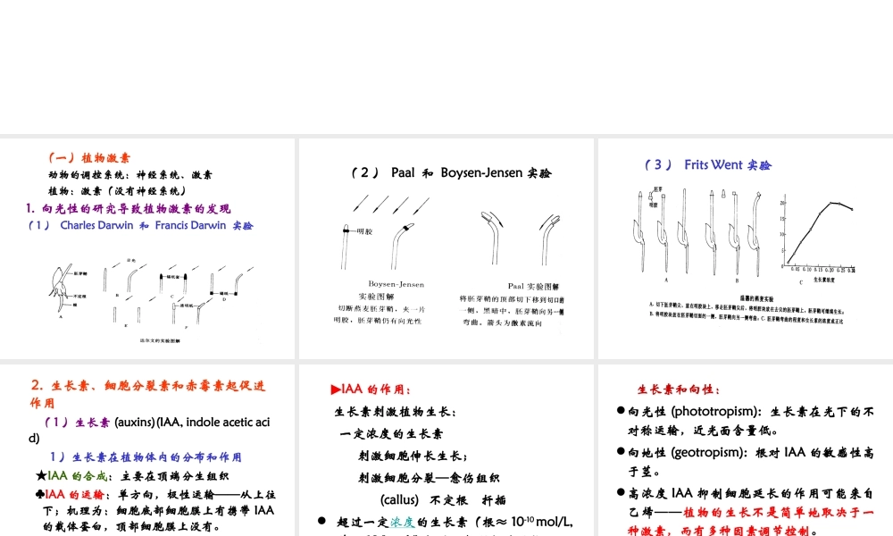 19 植物的调控系统.ppt