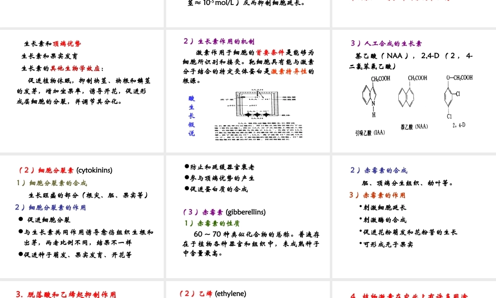 19 植物的调控系统.ppt