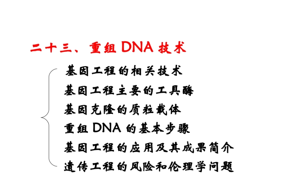 23 重组DNA技术.ppt